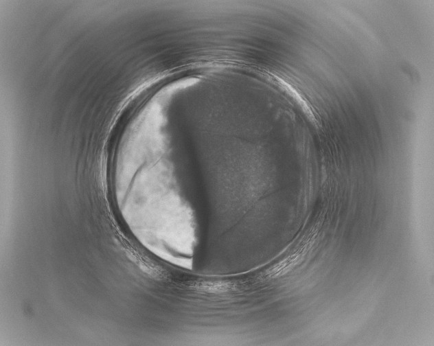 X0000115341035200911301544