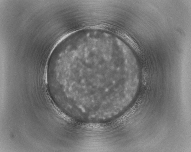 X0000115341036200911301544