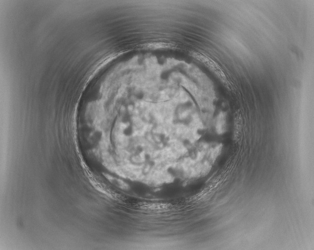 X0000115341039200911301544