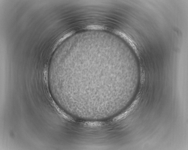 X0000115341041200911301544