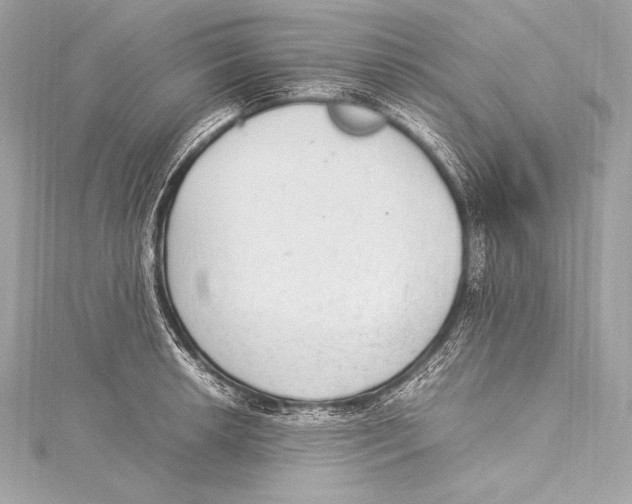 X0000115341042200911301544