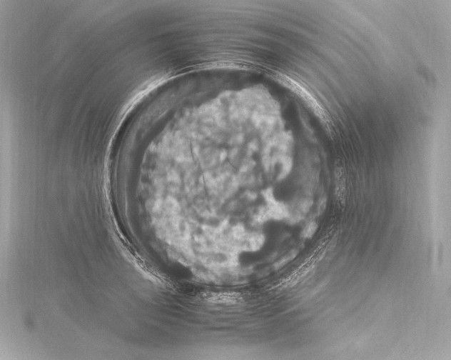 X0000115341043200911301544