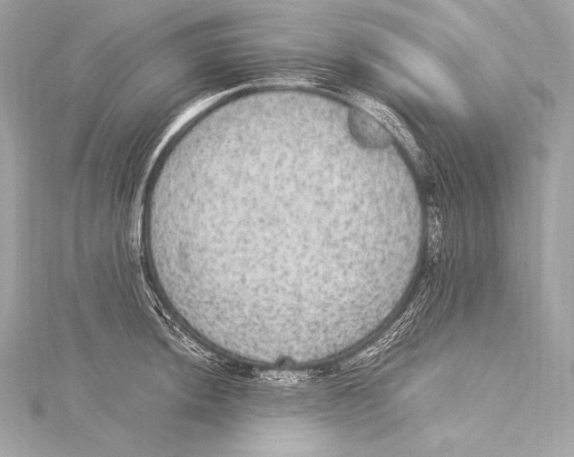 X0000115341044200911301544