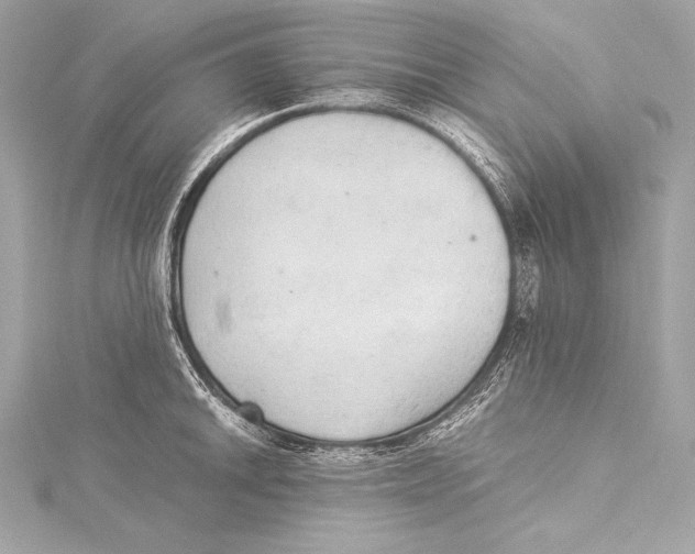 X0000115341046200911301544