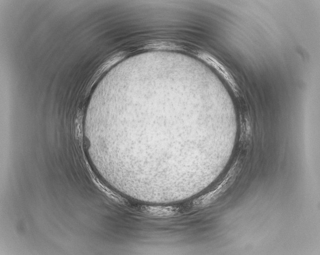 X0000115341049200911301544