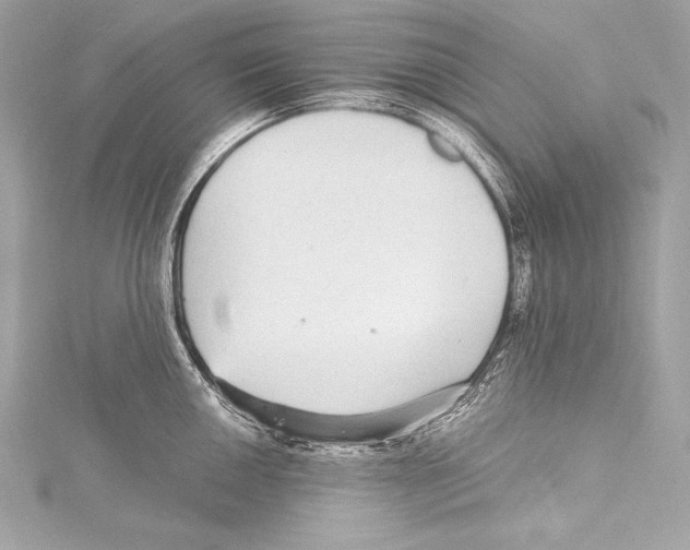 X0000115341050200911301544