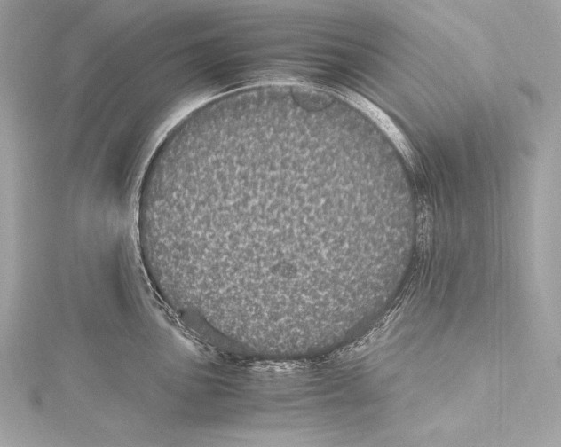 X0000115341051200911301544