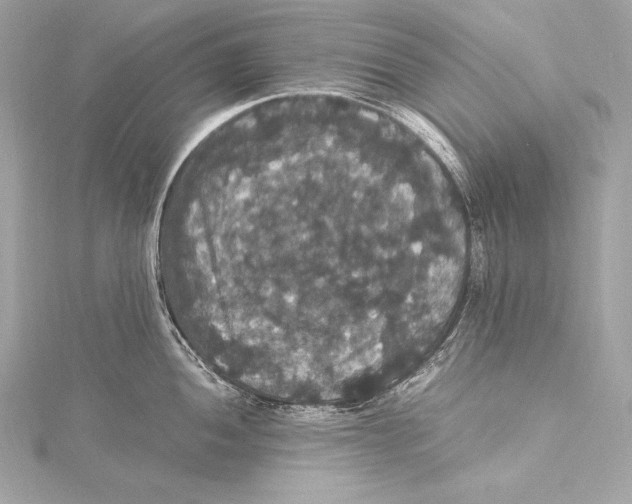 X0000115341052200911301544