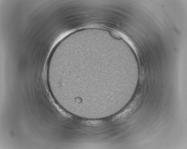 X0000115341053200911301544