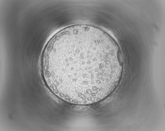 X0000115341056200911301544