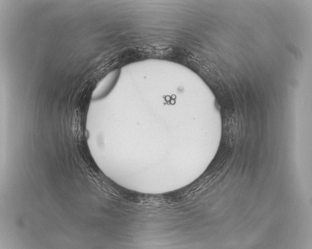 X0000115341058200911301543