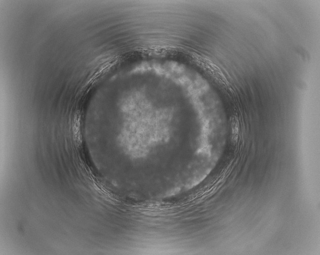 X0000115341060200911301543