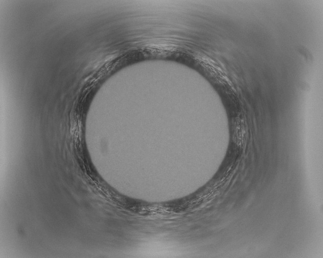 X0000115341061200911301543