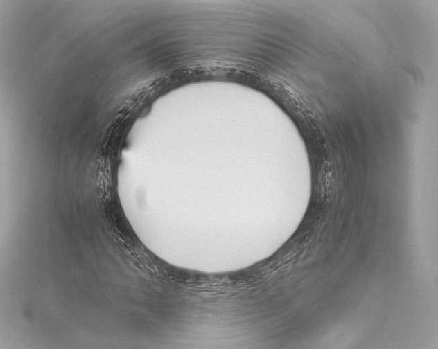 X0000115341062200911301543