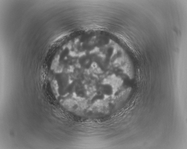 X0000115341063200911301543