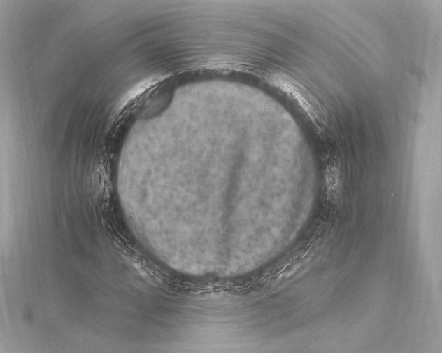 X0000115341064200911301543