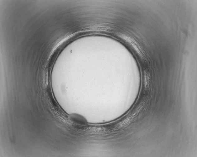 X0000115341069200911301543