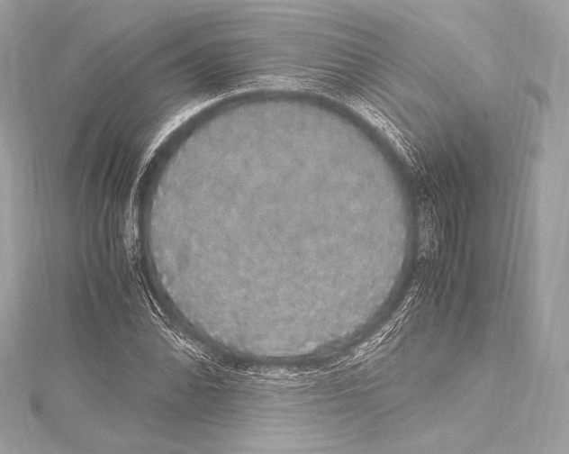 X0000115341070200911301543