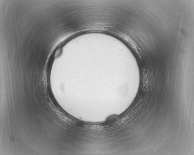 X0000115341072200911301543