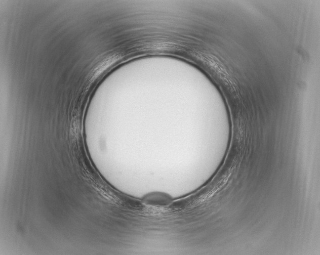 X0000115341073200911301543