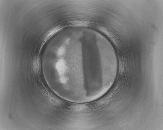 X0000115341074200911301543