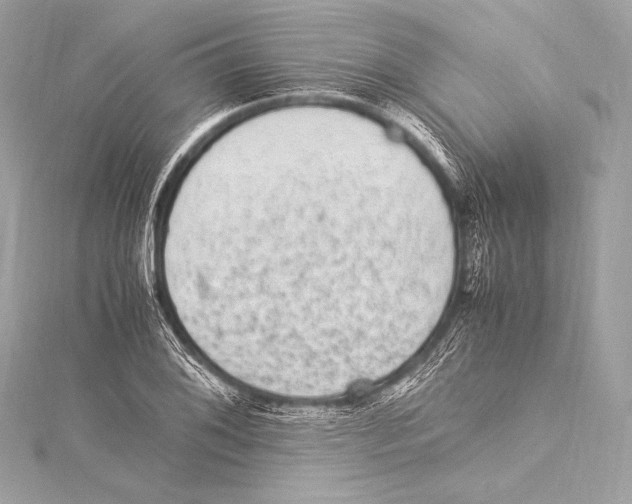 X0000115341076200911301543