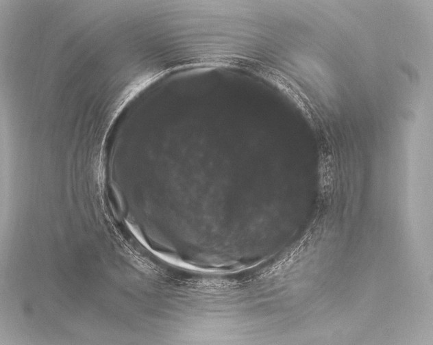 X0000115341077200911301543