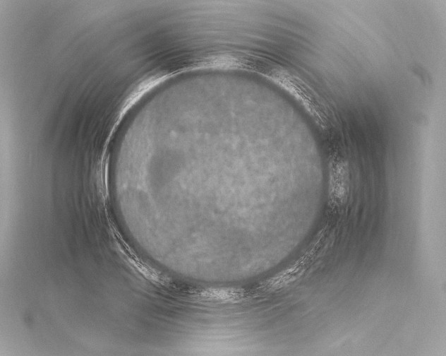 X0000115341078200911301543