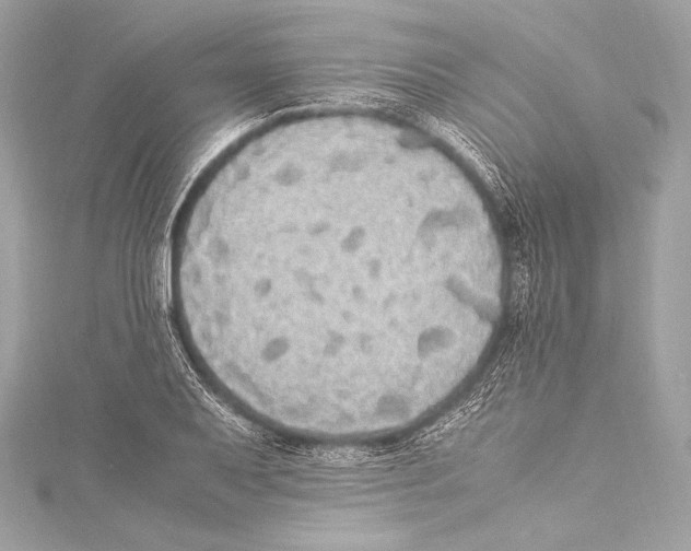 X0000115341079200911301543