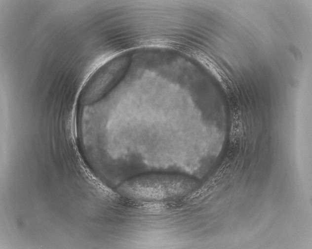 X0000115341080200911301543