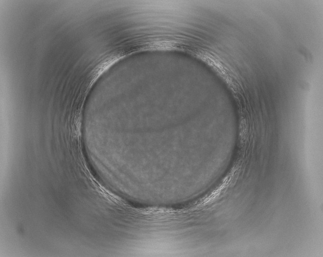 X0000115341081200911301543