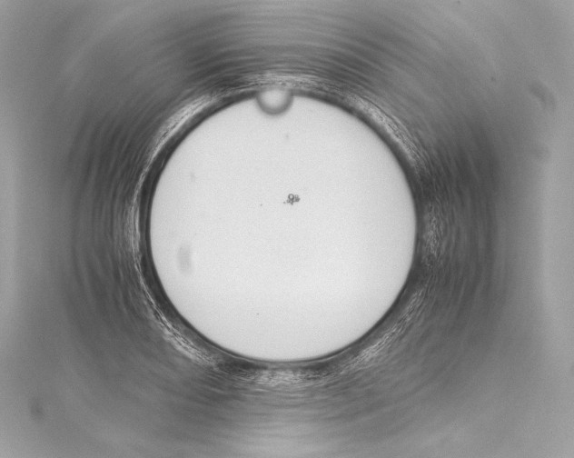 X0000115341082200911301543