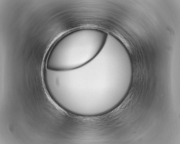 X0000115341084200911301543