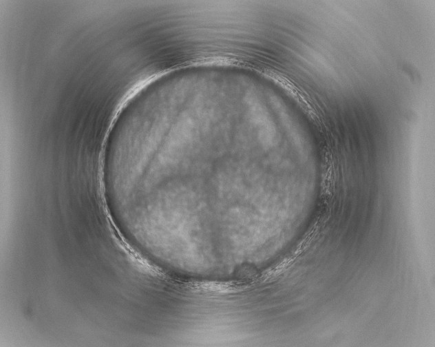 X0000115341086200911301543