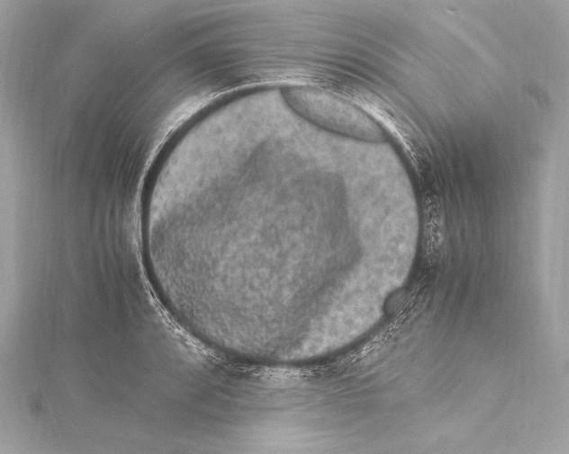 X0000115341088200911301543