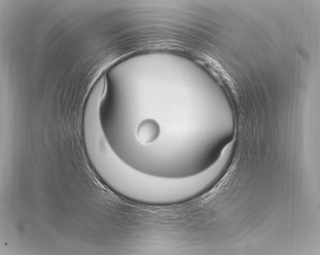 X0000115341089200911301543