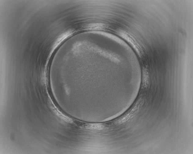 X0000115341090200911301543