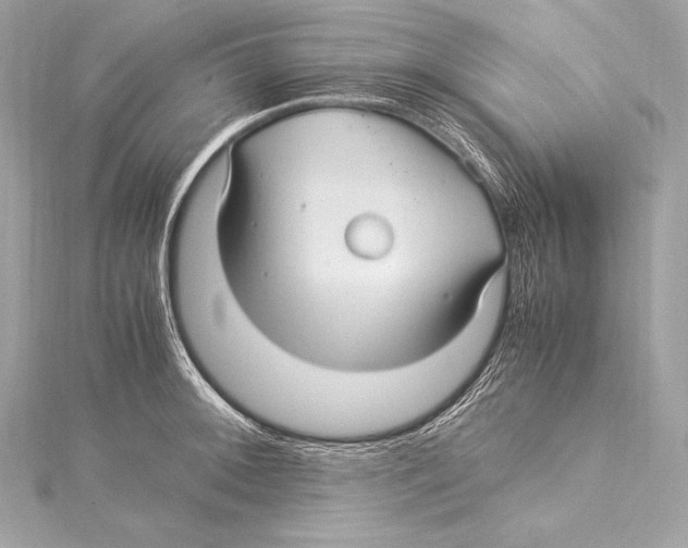 X0000115341092200911301543