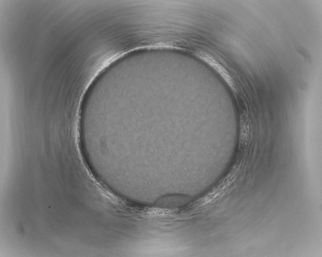 X0000115341093200911301543