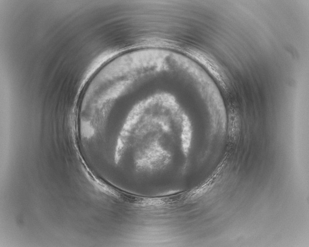 X0000115341094200911301543