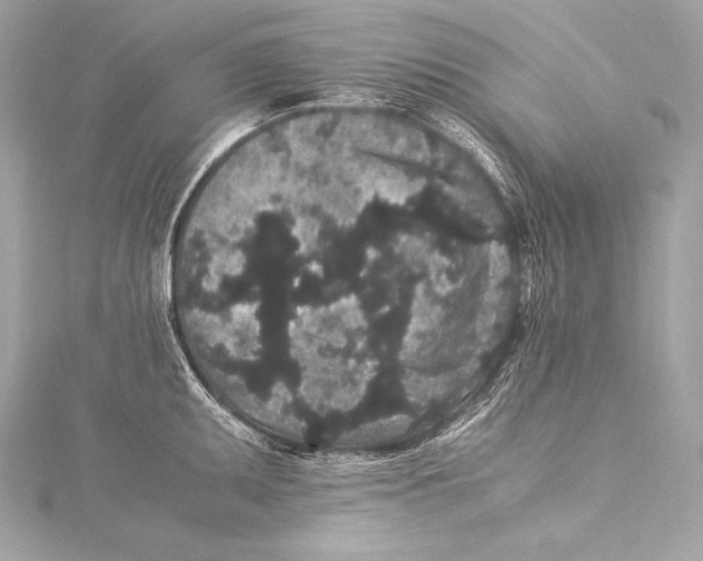 X0000115341095200911301543