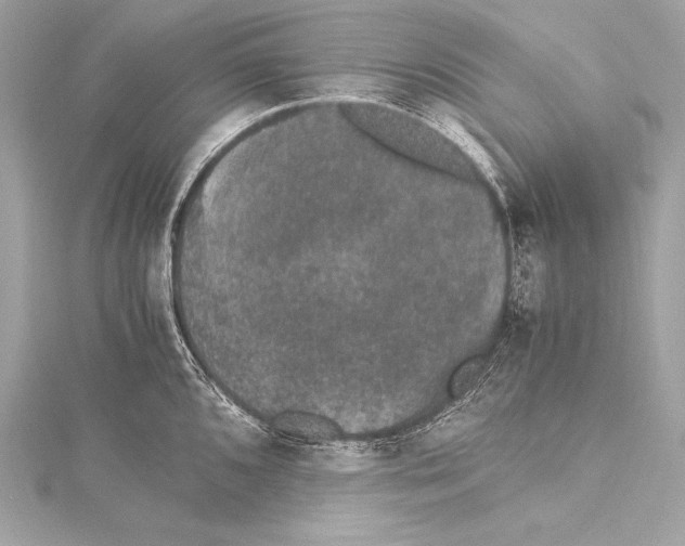 X0000115341096200911301543