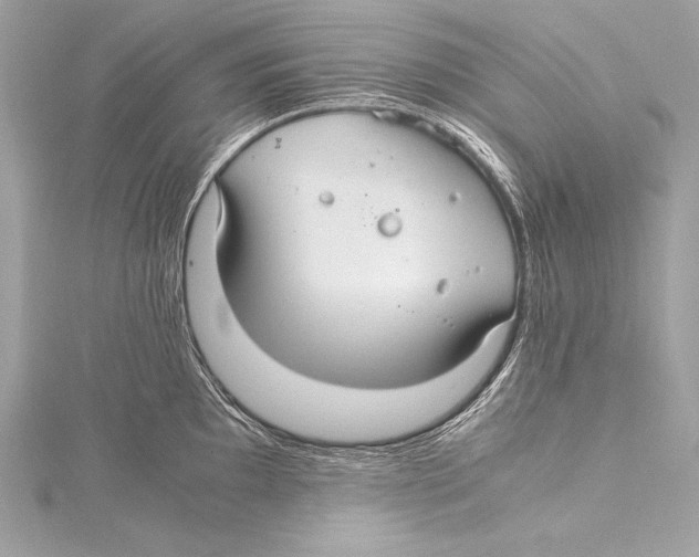 X0000115341097200911301543