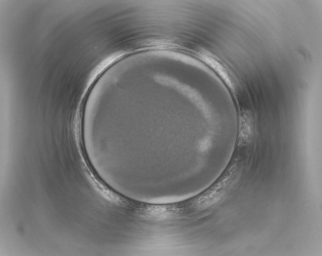 X0000115341098200911301543