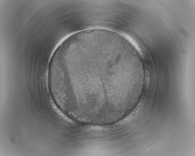 X0000115341100200911301543