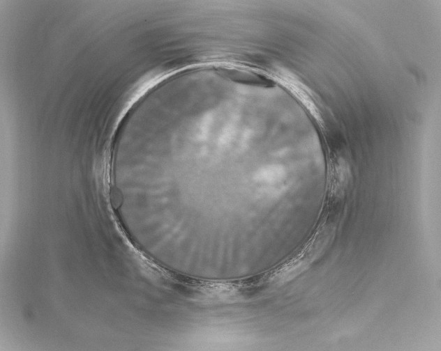 X0000115341101200911301543