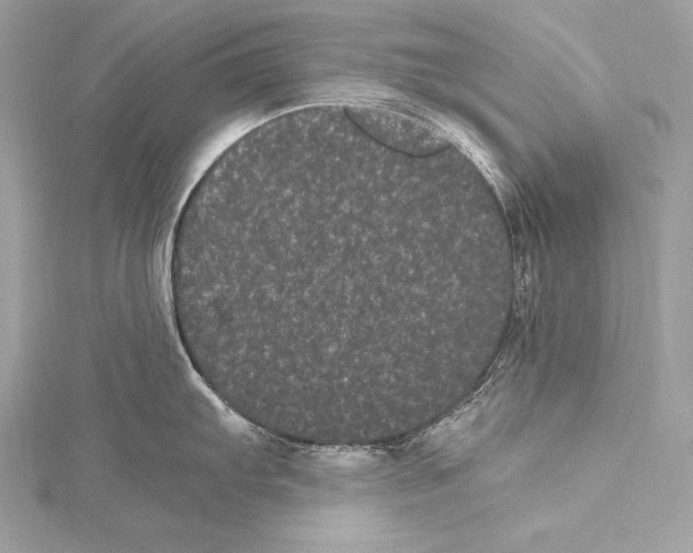 X0000115341103200911301543