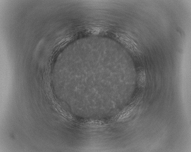 X0000115341105200911301542