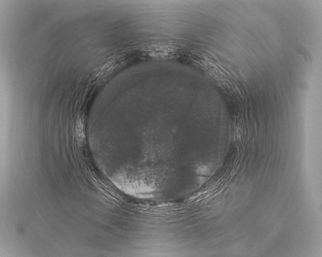 X0000115341106200911301542