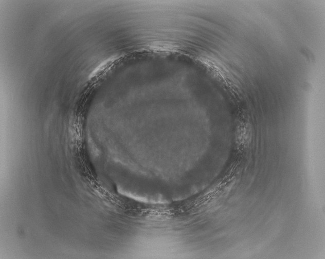 X0000115341110200911301542